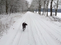 Nichts ist unmöglich. Whirlpool Lieferung und Aufbau im Schnee. 