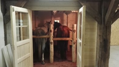 Sauna, Sole, Infrarot für die Behandlung von Pferden
