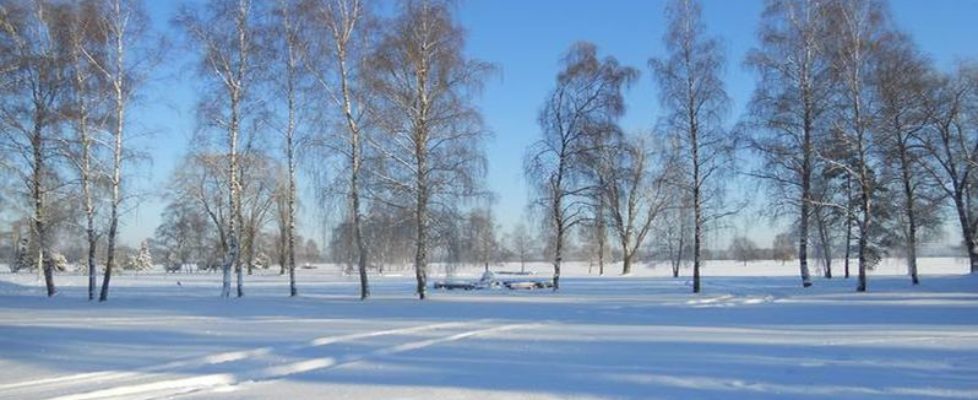 Winterspektakel-camp-reinsehlen